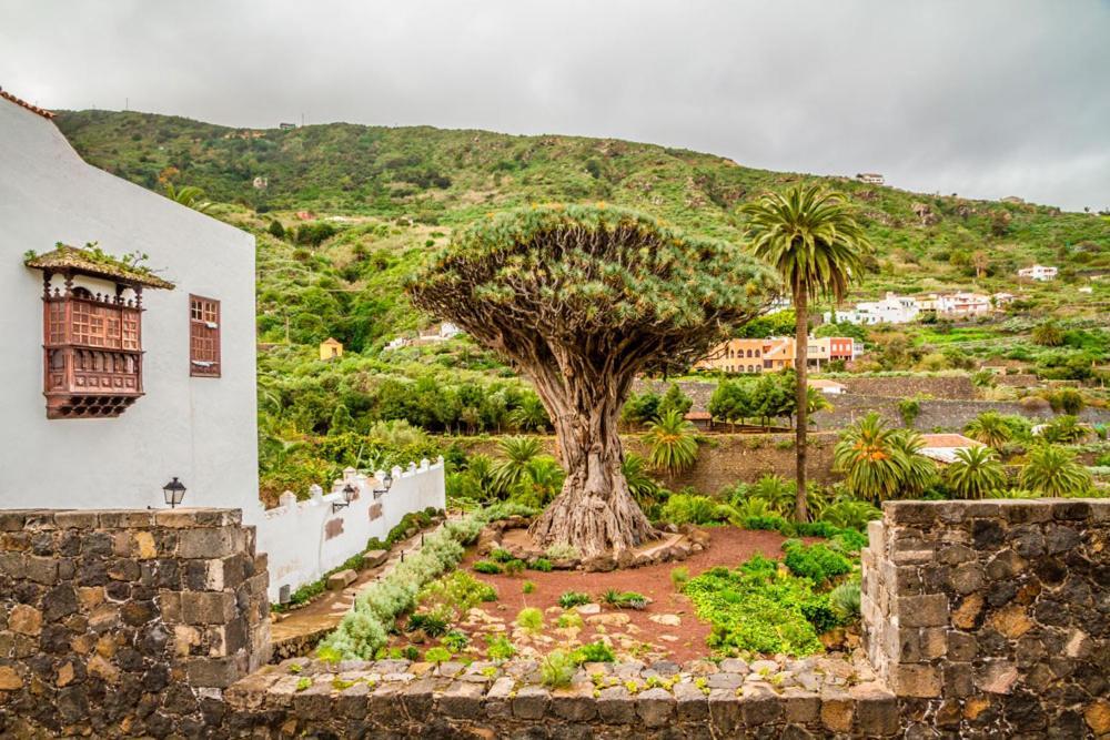 Acogedor Estudio En Playa San Marcos, Icod De Los Vinos Exterior foto