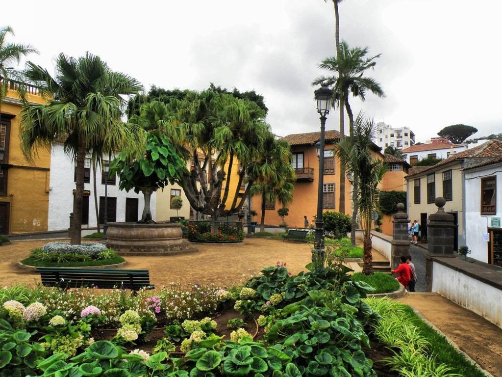 Acogedor Estudio En Playa San Marcos, Icod De Los Vinos Exterior foto